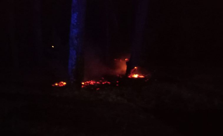 Un incendio forestal quema 75 metros cuadrados en el pinar de Cabío