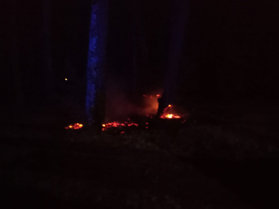 Un incendio forestal quema 75 metros cuadrados en el pinar de Cabío