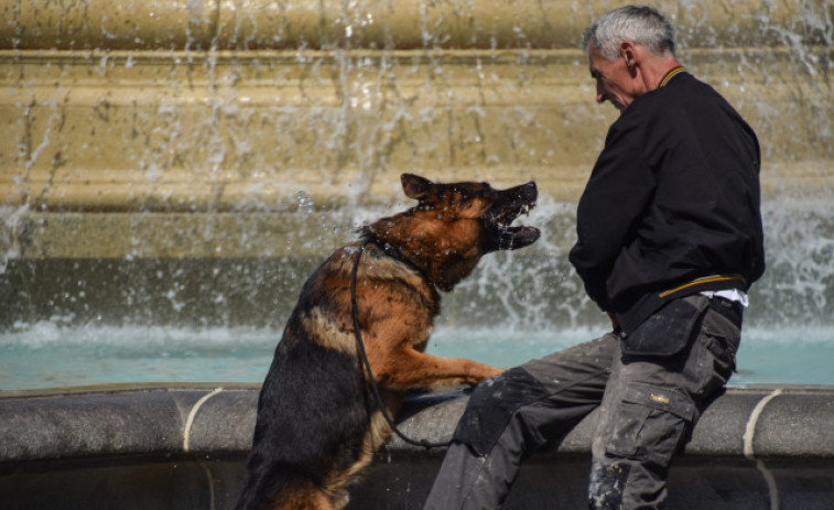 El Reino Unido afronta una segunda ola de calor