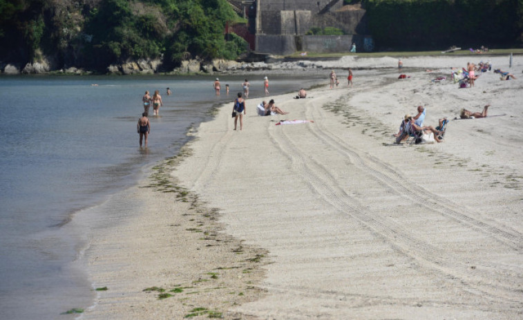 Alertan de la presencia de ejemplares de carabelas portuguesas en las playas de Ferrol y Barreiros