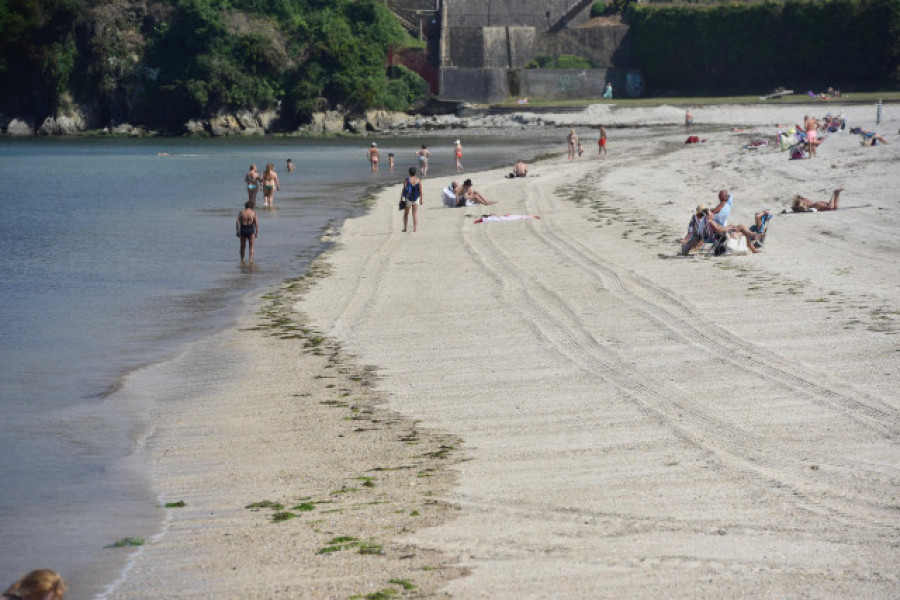 Alertan de la presencia de ejemplares de carabelas portuguesas en las playas de Ferrol y Barreiros