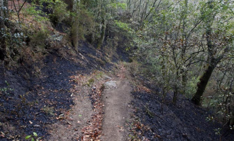 Activo un fuego en Monfero que afecta a las Fragas do Eume