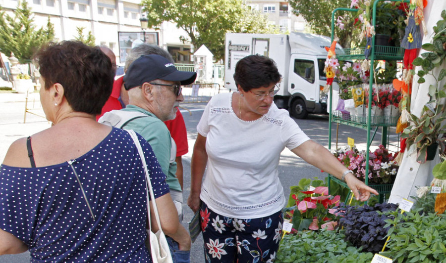 Los albergues de peregrinos de Vilanova serán homenajeados con el Mexillón de Ouro