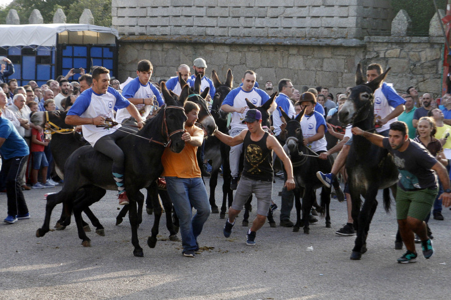 La popular carrera de burras regresa a San Roque do Monte