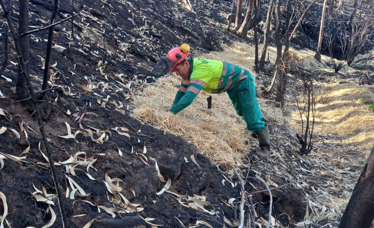 Ultiman los trabajos en zonas afectadas por el gran incendio de O Barbanza para evitar los arrastres de las cenizas