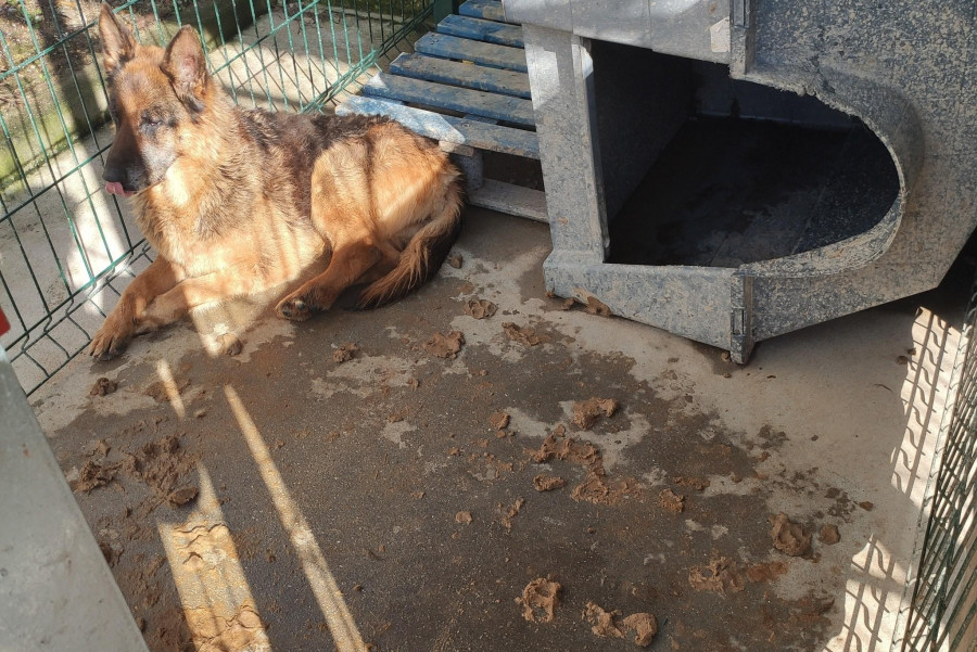 Boiro también recibió quejas de vecinos por el “lamentable” estado de los caniles del punto limpio