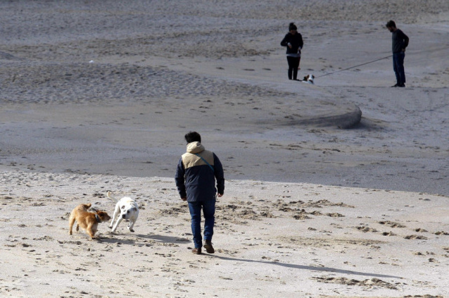 Las familias con perros lo tienen difícil en las casi 900 playas gallegas