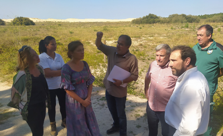 Eliminados en cinco meses el 21% de los árboles colonizadores que impiden que la duna de Corrubedo se regenere