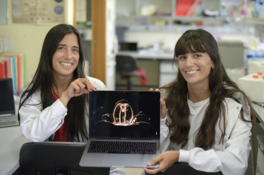 La Universidad de Oviedo identifica  el genoma de la inmortalidad