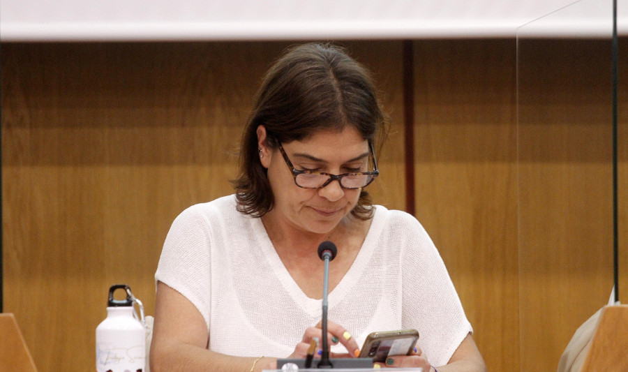 Servicios Sociales de Vilagarcía se expone como modelo en el País Vasco