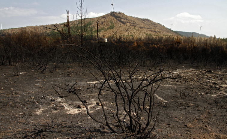 La Xunta señala que el incendio de Xiabre tuvo una afectación “moi baixa” sobre el suelo
