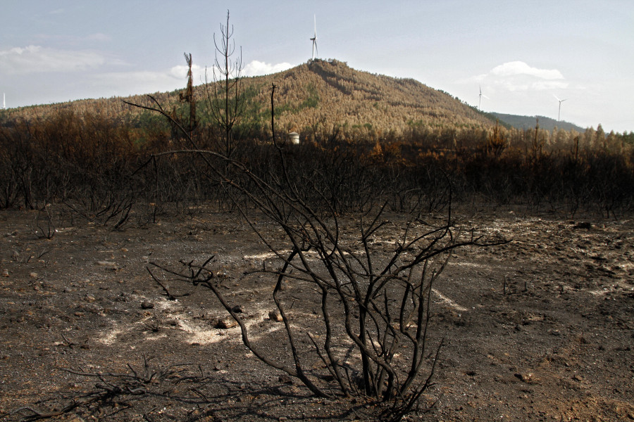 La Xunta señala que el incendio de Xiabre tuvo una afectación “moi baixa” sobre el suelo