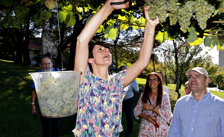 La líder del BNG reclama en Pazo Baión una ley gallega del vino y fijar un precio mínimo de la uva