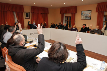 Pleno o grove