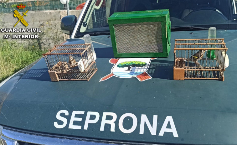 La Guardia Civil sorprende a un cazador furtivo de aves silvestres en Portonovo