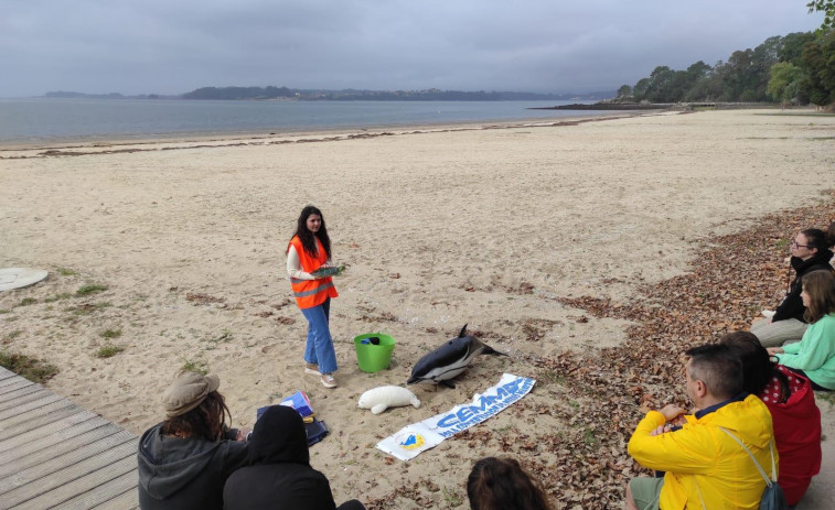 La Cemma muestra en la playa de Tanxil la manera de actuar con los animales varados