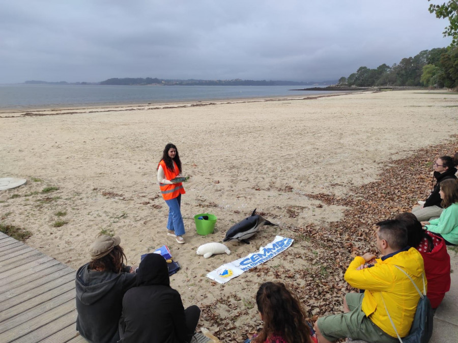 La Cemma muestra en la playa de Tanxil la manera de actuar con los animales varados