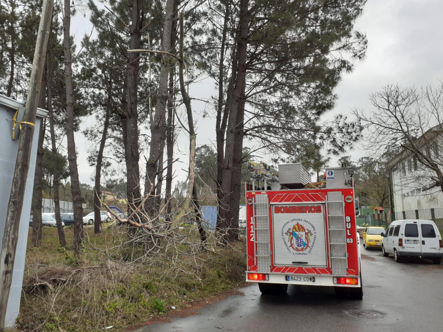 La caída de un árbol sobre el tendido eléctrico fue el origen de un incendio en Cadarnoxo
