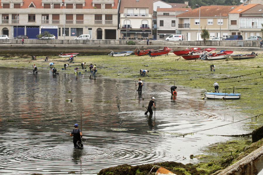 Arranca la campaña electoral a los órganos de gobierno de las cofradías de pescadores