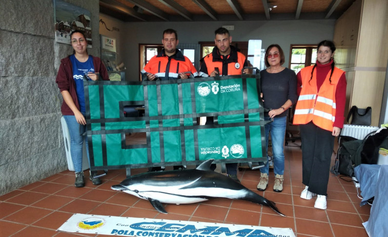 La Cemma entrega a Protección Civil de A Pobra una camilla para el traslado de mamíferos marinos varados
