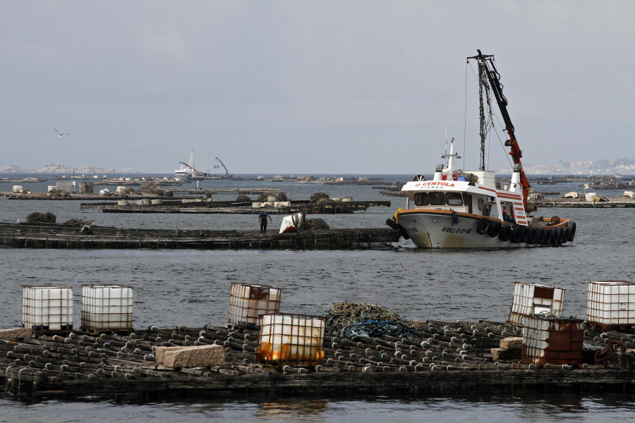 La Plataforma en Defensa da Cría reactiva su lucha para reabrir más zonas para extraer mejilla