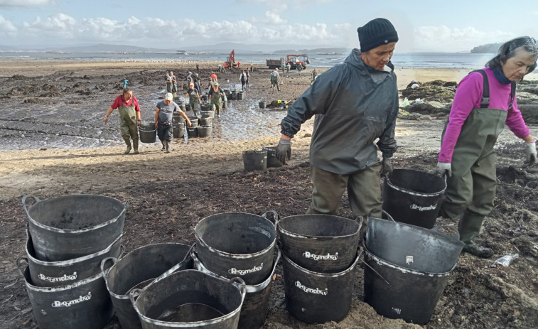 Gran cantidad de residuos vinculados a los incendios se depositaron en el banco marisquero de Os Raposiños