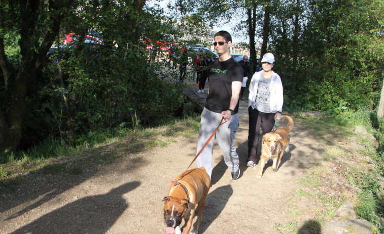 La Mancomunidade do Salnés prepara una campaña para posicionarse en el creciente “turismo petfriendly”