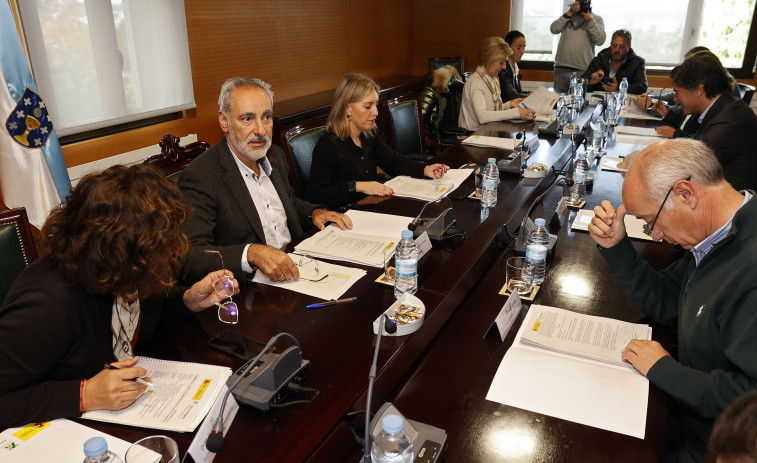 El Puerto aprueba la concesión de dos naves en el muelle de O Ramal para Parquistas de Carril