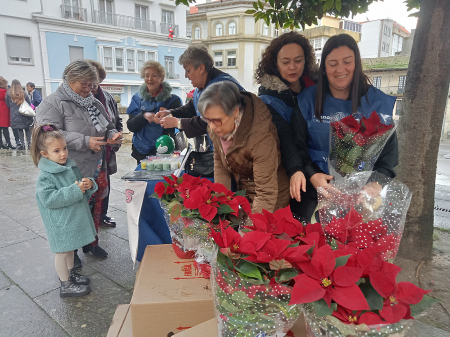 Manos Unidas Ribeira agota las flores de Pascua que puso a la venta para colaborar con tres proyectos de desarrollo en el Tercer Mundo