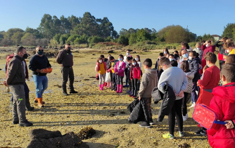 El CEIP Torre Illa recibe un premio nacional de 10.000 euros por el proyecto “Enredando coa Pesca”