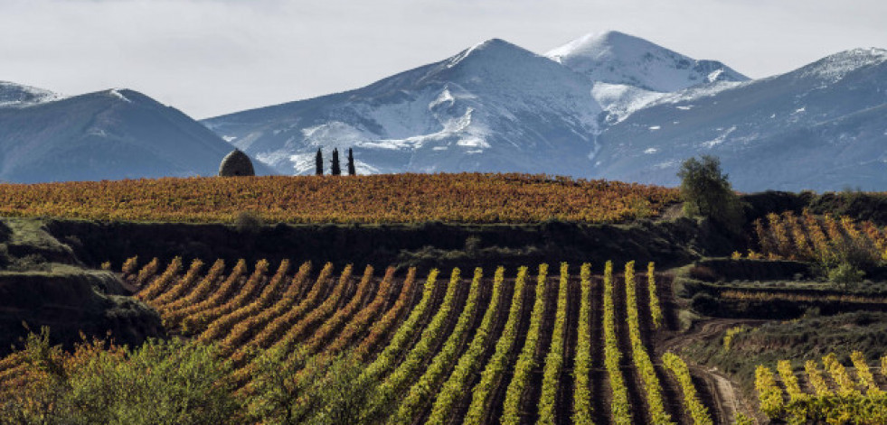 Rioja acogerá los premios World’s Best Vineyards 2023