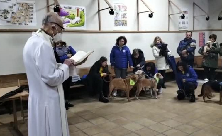 Vilagarcía bendice a sus mascotas