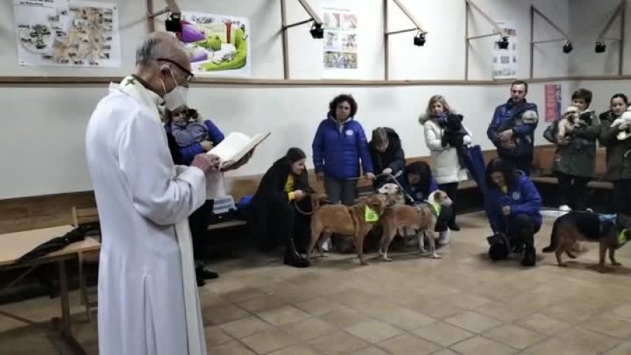 Vilagarcía bendice a sus mascotas