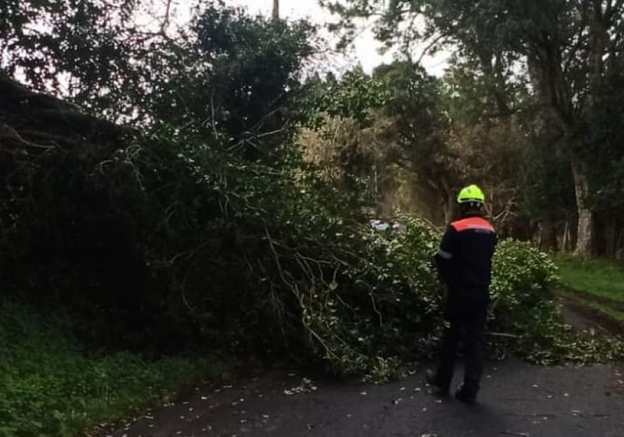 Los servicios de emergencias de Ribeira atendieron más de 50 incidencias por el temporal el lunes y martes