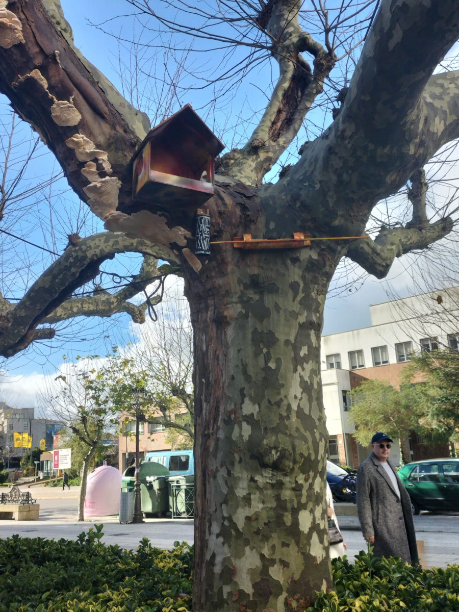 La casita del árbol que cautiva a los visitantes en Vilagarcía