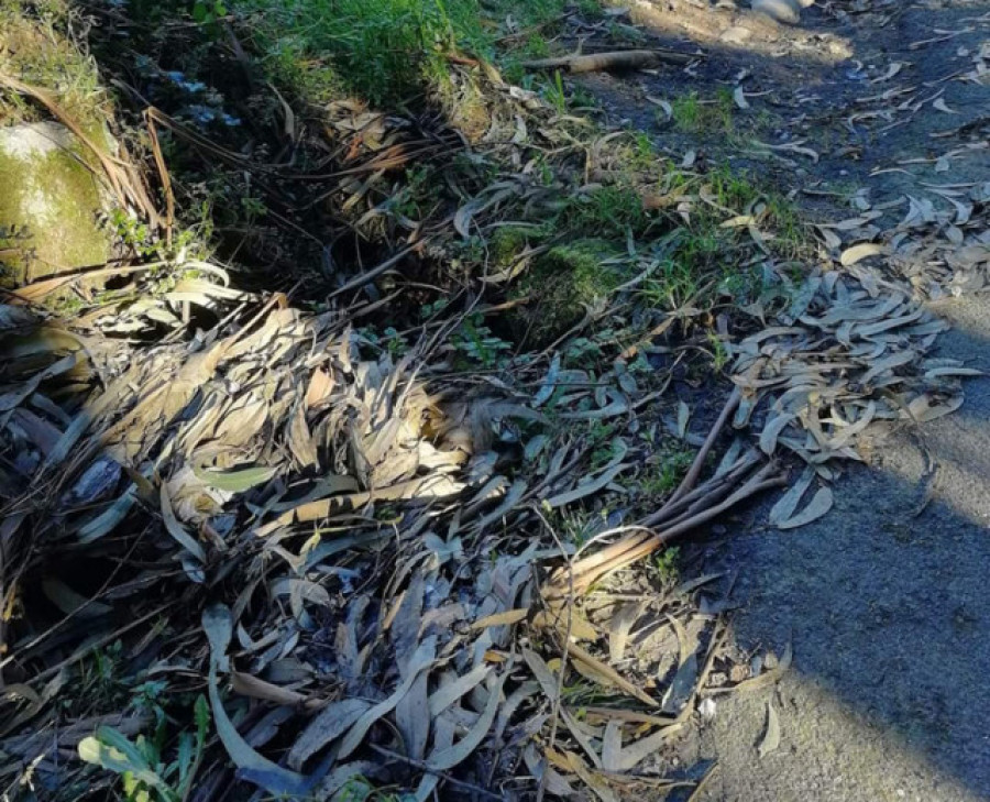 El maratón de los baches, antes de la carrera electoral