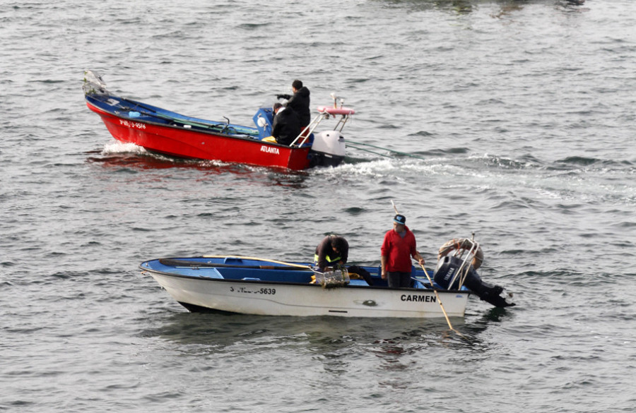 Mar acuerda con el sector un paro biológico subvencionado para el libre marisqueo desde mañana hasta mayo