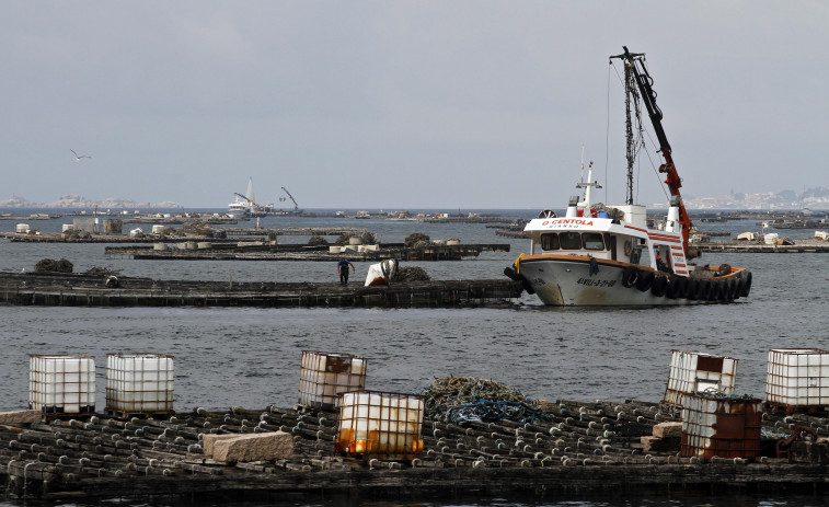 El sector bateeiro se rearma y retoma las asambleas ante la falta de movimientos de Mar