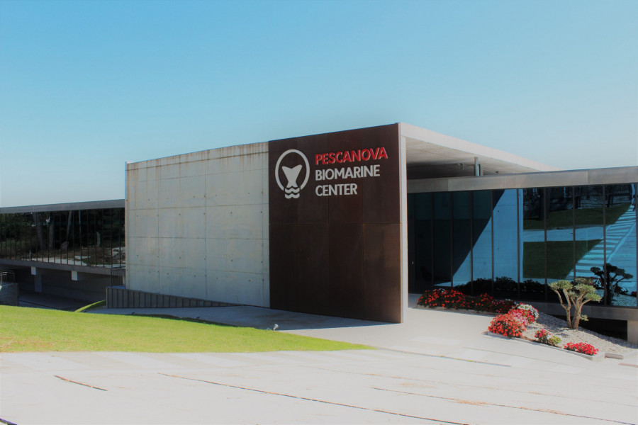 El Pescanova Biomarine Center de O Grove, reconocido como una de las principales innovaciones del sector en España