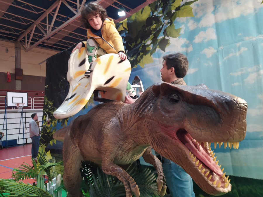 Una veintena de dinosaurios atraen a cientos de niños y adultos a una exposición en Ribeira