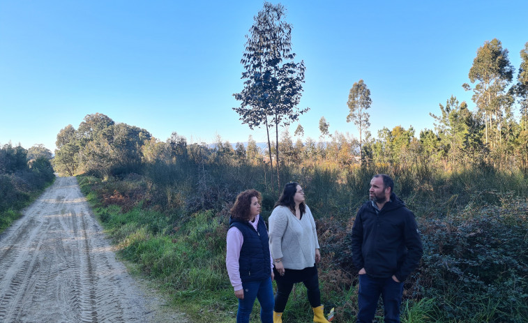 Vales propone un concurso de ideas para los terrenos del frustrado centro comercial de Deiro