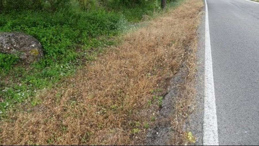 Encuentran tirado en la carretera de madrugada a un hombre de avanzada edad