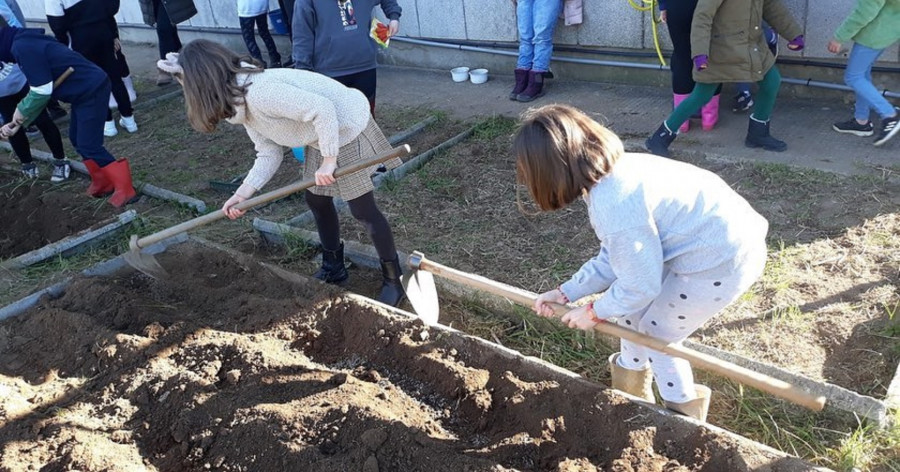 El CEIP de Castrelo muestra “en vivo y en directo” su día a día para ganar matriculaciones