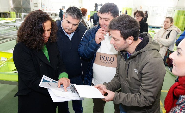 Así será la ampliación de la lonja de Cambados