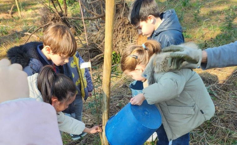Niños, cariño y nuevos árboles en el monte de A Toxa para hacer felices a los Grobits