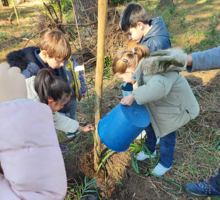 Niños, cariño y nuevos árboles en el monte de A Toxa para hacer felices a los Grobits