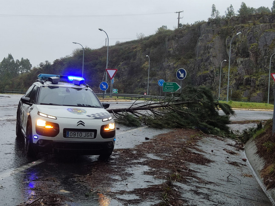 Viento y agua causan caídas de árboles a la carretera en Vilagarcía