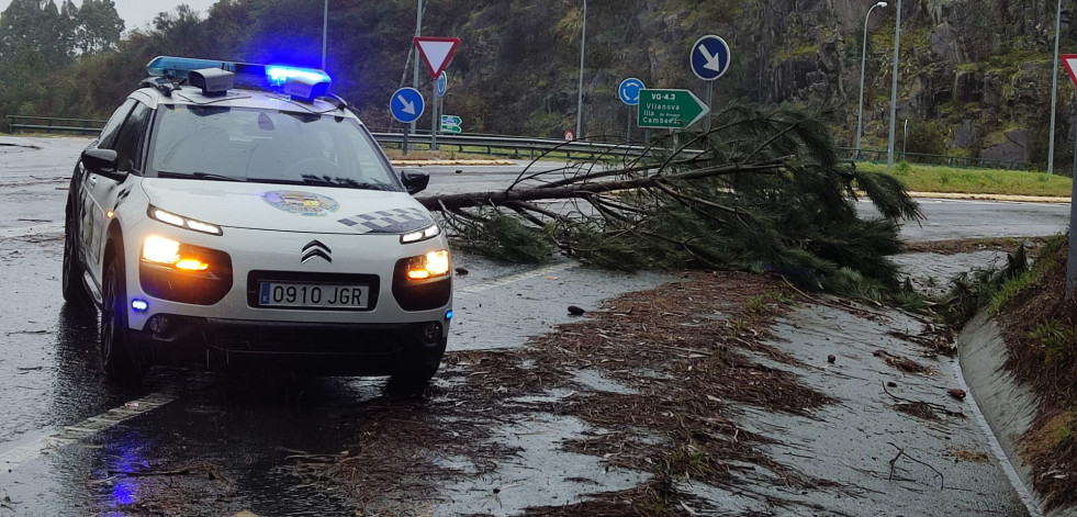 Viento y agua causan caídas de árboles a la carretera en Vilagarcía
