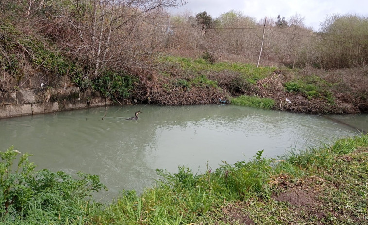 El BNG de Catoira denuncia un vertido contaminante en la desembocadura del río Ulla