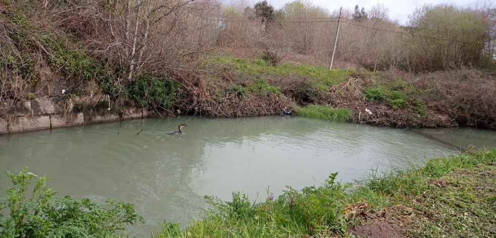 El BNG de Catoira denuncia un vertido contaminante en la desembocadura del río Ulla